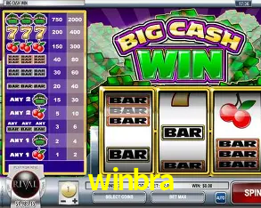 Interface Premium winbra