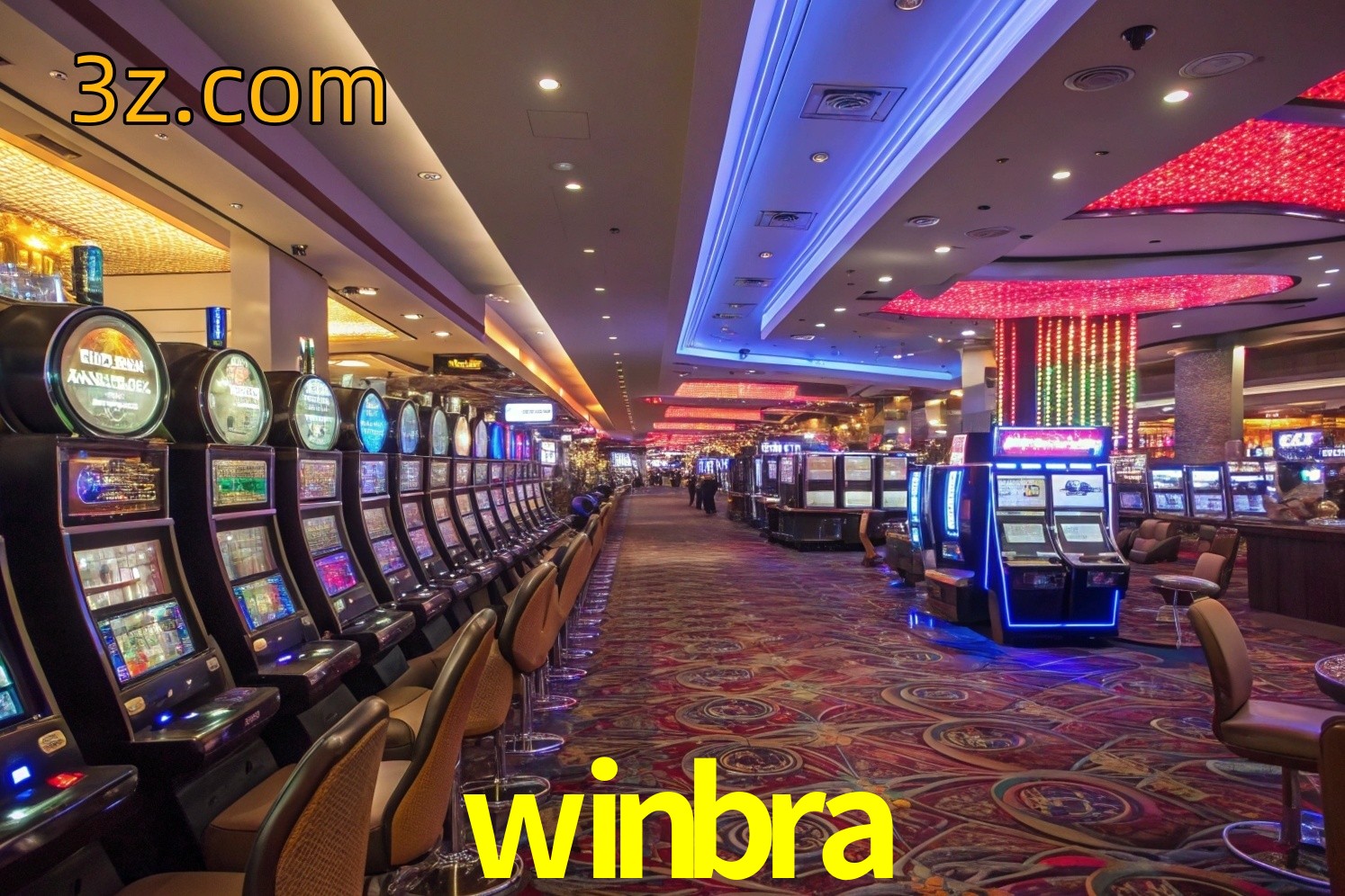  winbra vip